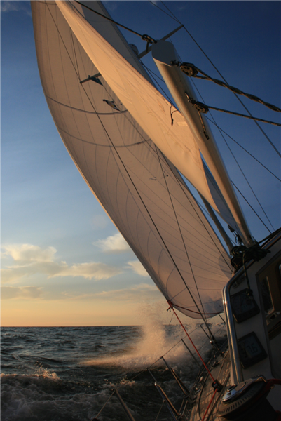 foto4