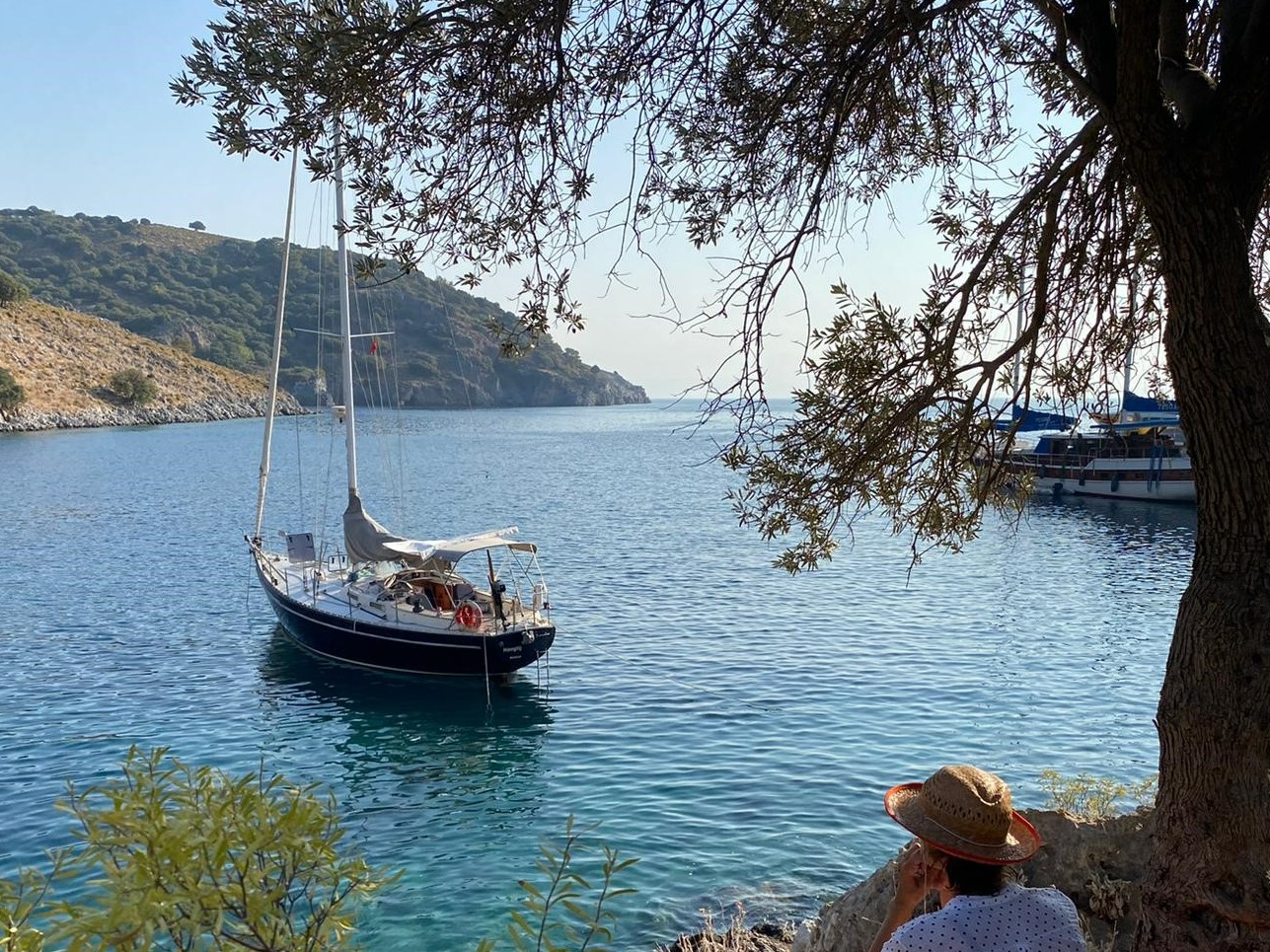 15