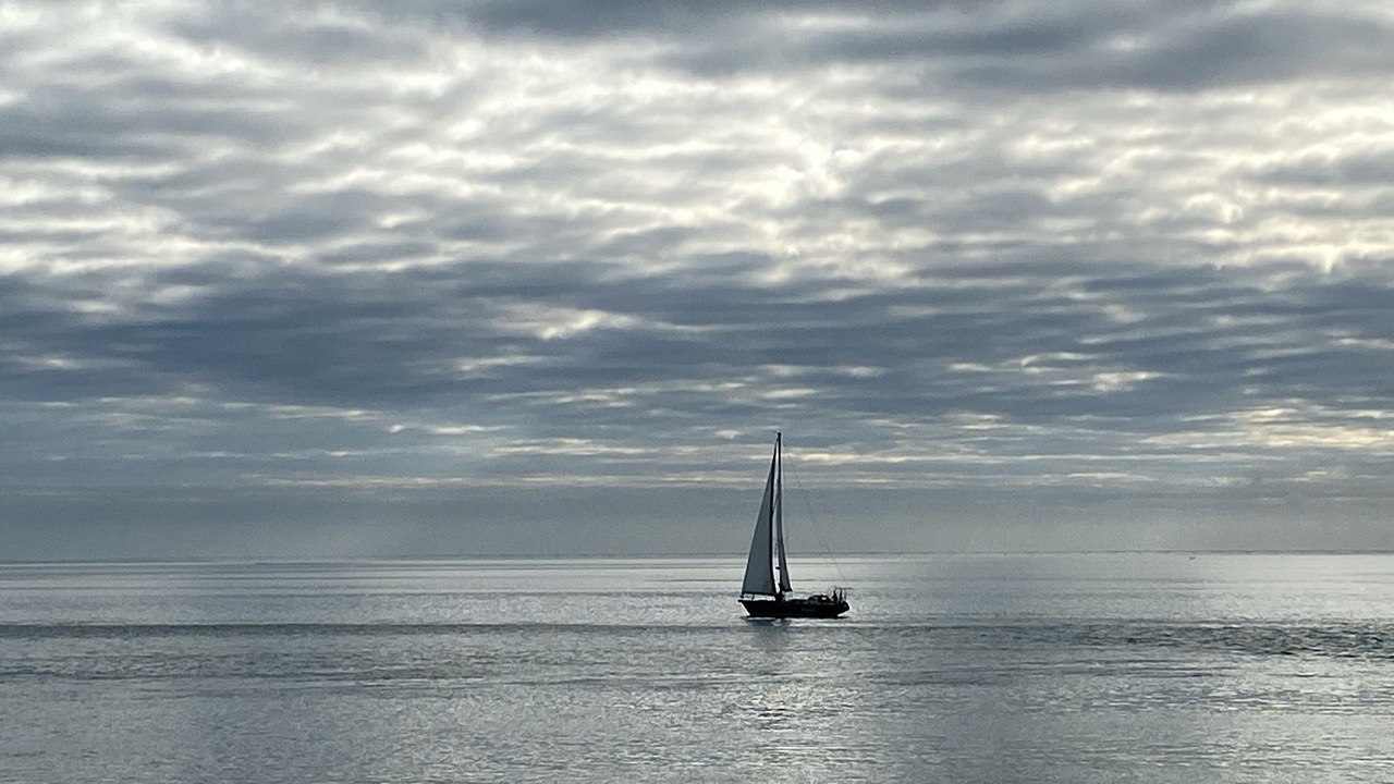 10. Op de Oosterschelde september 2024, op de Bruinvissendag