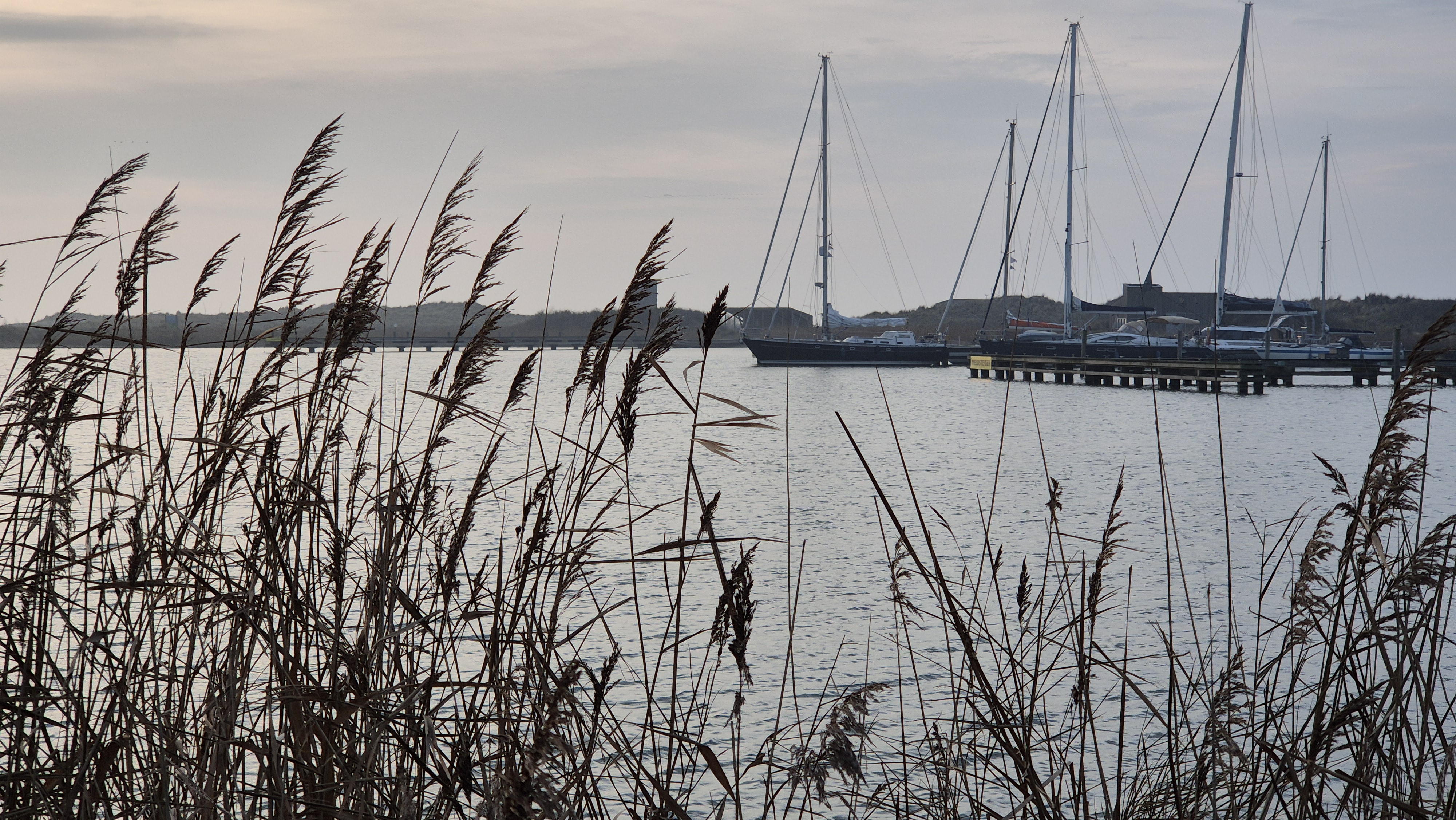 foto-10-Op-de-Markerwadden-