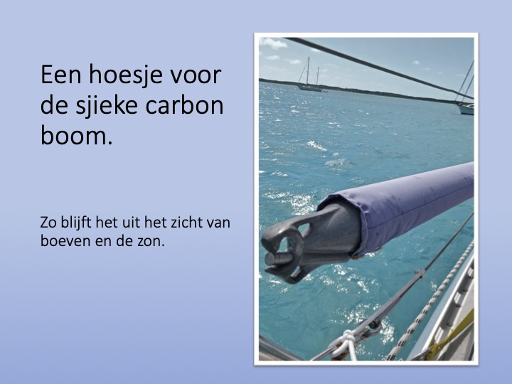 Een-hoesje-voor-de-sjieke-carbon-boom