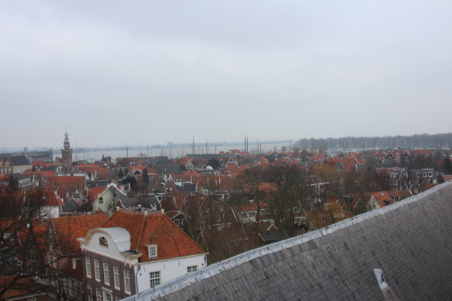 IMG_2767